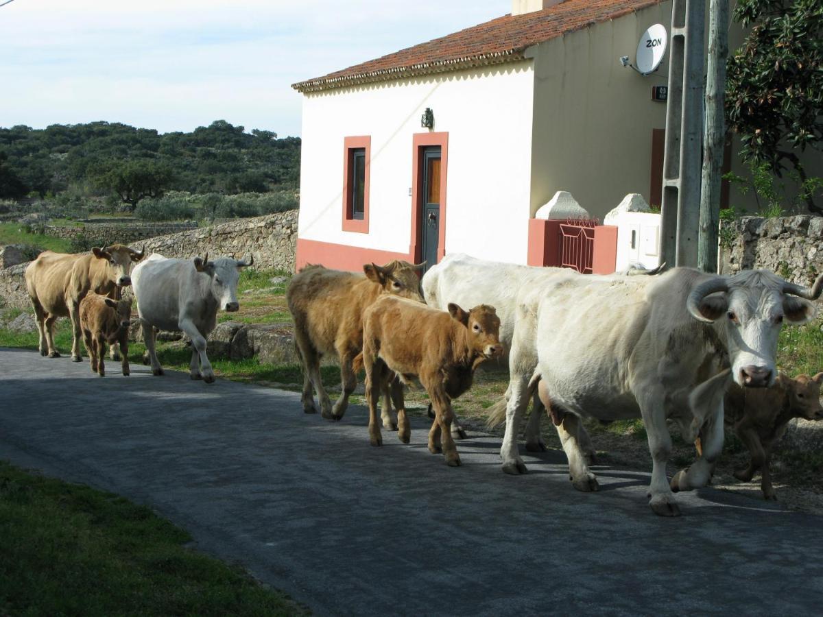 Casas Da Estacao, Country Houses Marvao  Phòng bức ảnh